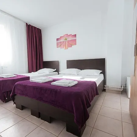 게스트하우스 Pensiunea Gerard Moderne Cu Baie Privata, La 250 M De Plaja ,foisor, Parcare & Wifi Gratuit