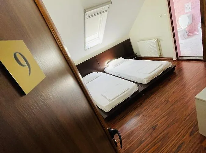 Guest house Pensiunea Gerard 3*