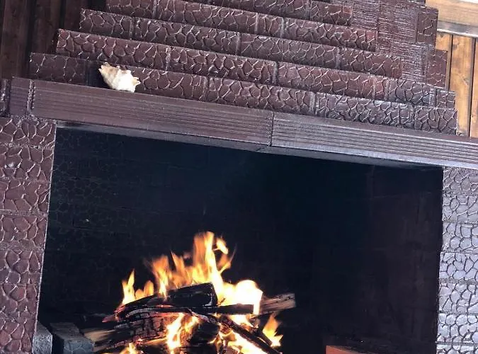 Pensiunea Gerard Vendégház Două Mai