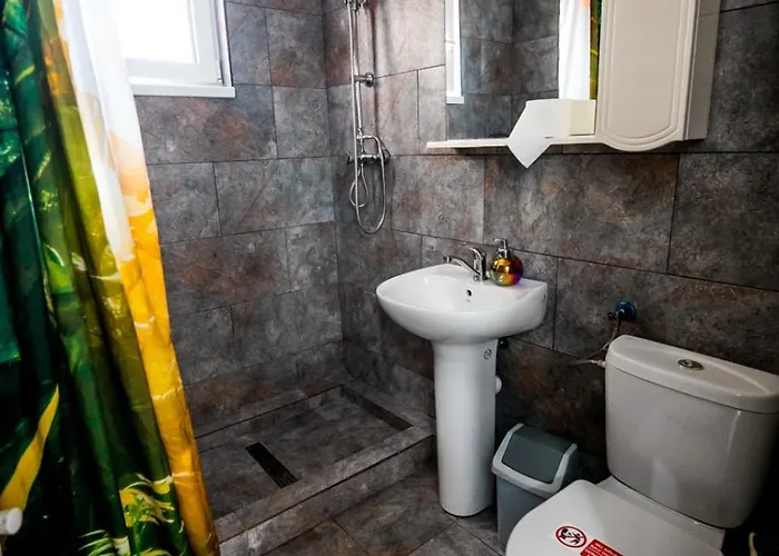 Pensiunea Gerard Guest house 3*