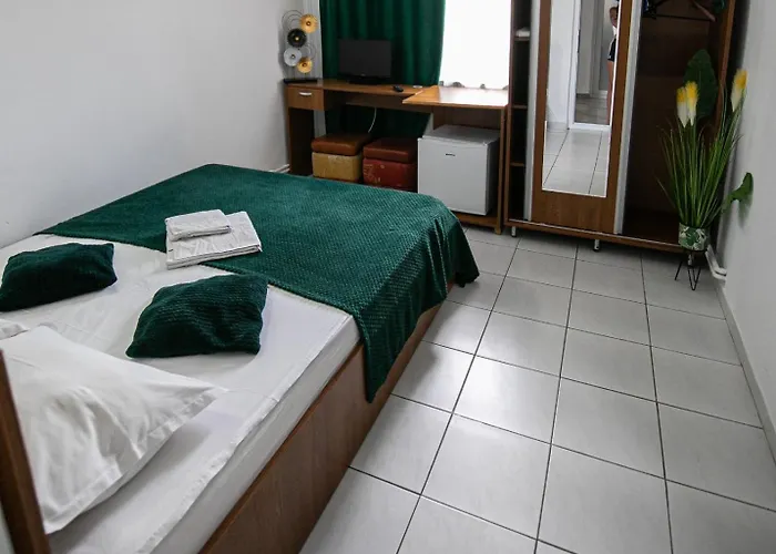 Guest house Pensiunea Gerard 3*