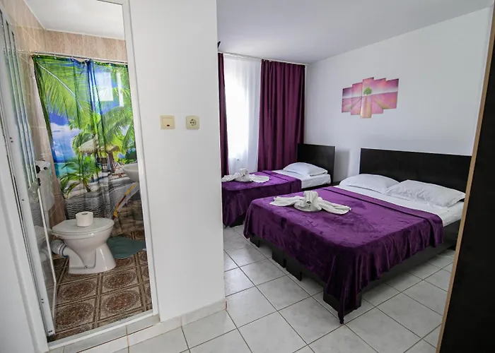 Guest house Pensiunea Gerard 2 Mai