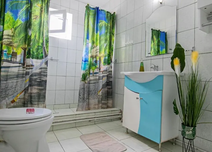 Pensiunea Gerard Guest house