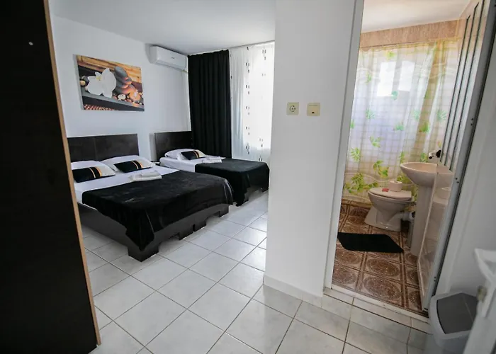 Guest house Pensiunea Gerard 3*
