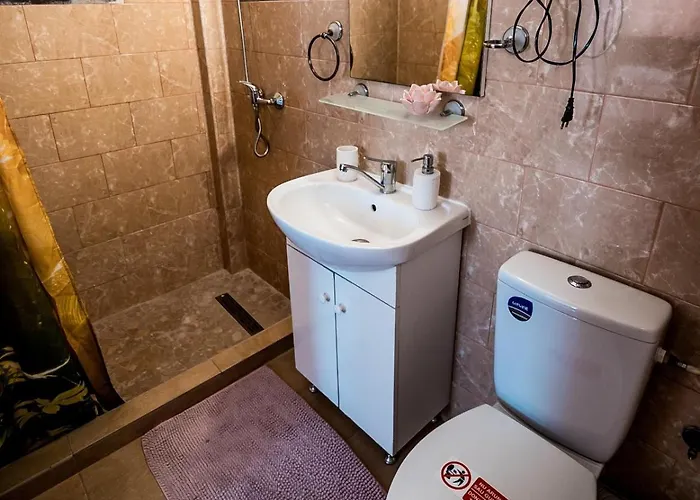 Guest house Pensiunea Gerard